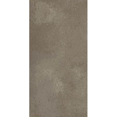 Paradyż Naturstone płytka ścienno-podłogowa 29,8x59,8 cm szara