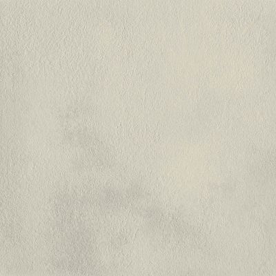 Paradyż Naturstone płytka ścienno-podłogowa 59,8x59,8 cm STR szary mat