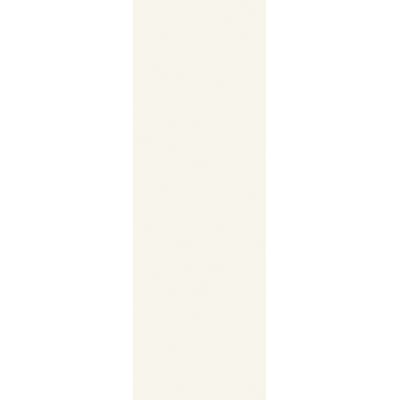 Paradyż Manteia płytka ścienna 20x60 cm biała