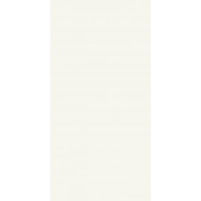 Paradyż Modul płytka ścienna 30x60 cm biała