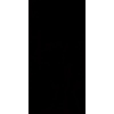 Paradyż Synergy płytka ścienna 30x60 cm czarny połysk
