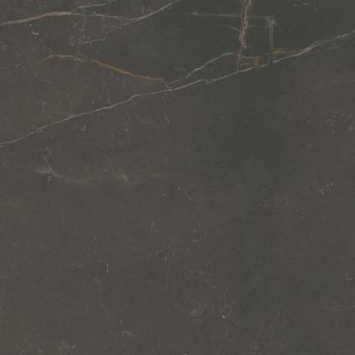 Paradyż Linearstone Brown płytka ścienno-podłogowa 59,8x59,8 cm