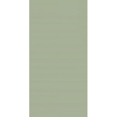 Paradyż Feelings Green płytka ścienna 29,8x59,8 cm zielony mat