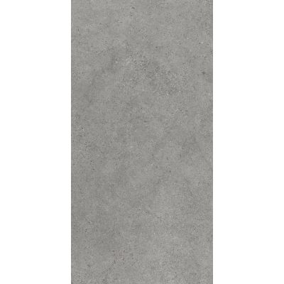 Paradyż Authority Grey płytka ścienno-podłogowa 119,8x59,8 cm szara