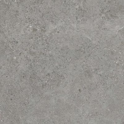 Paradyż Authority Grey płytka ścienno-podłogowa 59,8x59,8 cm szara