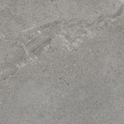 Paradyż Authority Grey płytka ścienno-podłogowa 59,8x59,8 cm szara