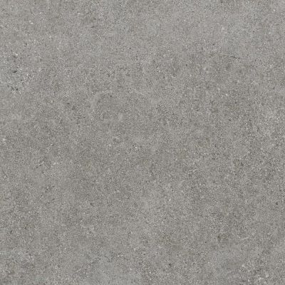 Paradyż Authority Grey płytka ścienno-podłogowa 59,8x59,8 cm szara