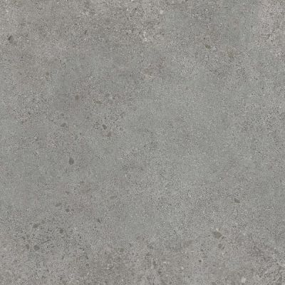 Paradyż Authority Grey płytka ścienno-podłogowa 59,8x59,8 cm szara