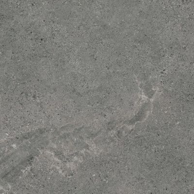 Paradyż Authority Graphite płytka ścienno-podłogowa 59,8x59,8 cm szara