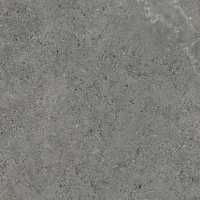 Paradyż Authority Graphite płytka ścienno-podłogowa 59,8x59,8 cm szara