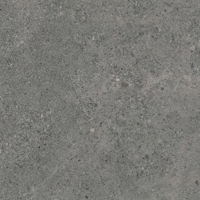 Paradyż Authority Graphite płytka ścienno-podłogowa 59,8x59,8 cm szara