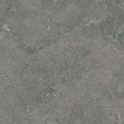 Paradyż Authority Graphite płytka ścienno-podłogowa 59,8x59,8 cm szara