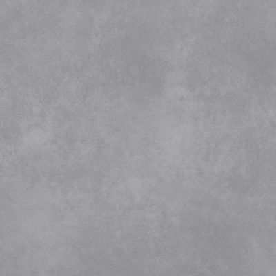 Paradyż Architeq Grey płytka ścienno-podłogowa 59,8x59,8 cm szara