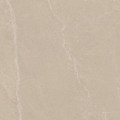 Paradyż U118 płytka ścienno-podłogowa 59,8x59,8 cm beżowa
