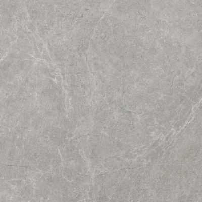 Paradyż U118 płytka ścienno-podłogowa 59,8x59,8 cm szara
