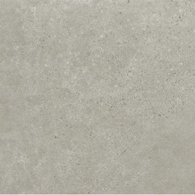 Paradyż Bergdust Grey płytka ścienno-podłogowa 59,8x59,8 cm szary
