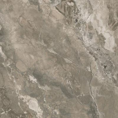 Paradyż Generous płytka ścienno-podłogowa 59,8x59,8 cm szara