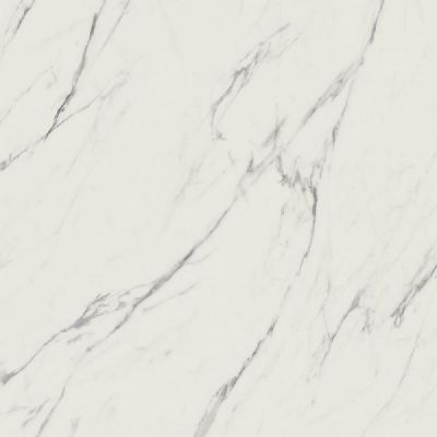 Paradyż Elite płytka ścienno-podłogowa 59,8x59,8 cm biała
