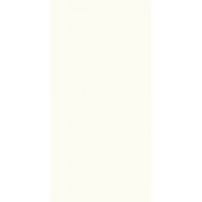 Paradyż Puris White płytka ścienna rekt. ultramat 59,8x29,8 cm biała