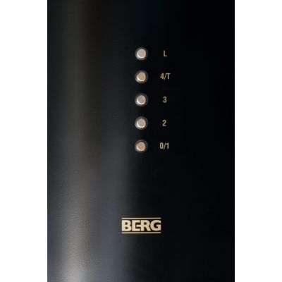 Berg Floyd Premium Gold Isola okap kuchenny 39 cm wyspowy czarny/złoty FLOYDPREMIUM GOLD ISOLA