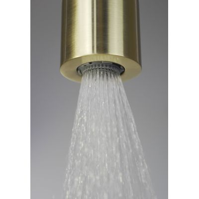 Deante Silia zestaw prysznicowy ścienny złoty szczotkowany NQSR4XM