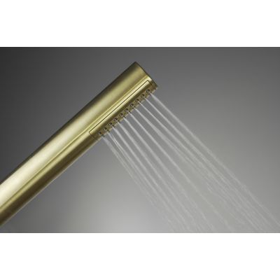 Deante Silia zestaw prysznicowy ścienny złoty szczotkowany NQSR4XM