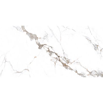 Ego Ceramics Royal Galaxy płytka ścienno-podłogowa 120x60 cm biała-szara