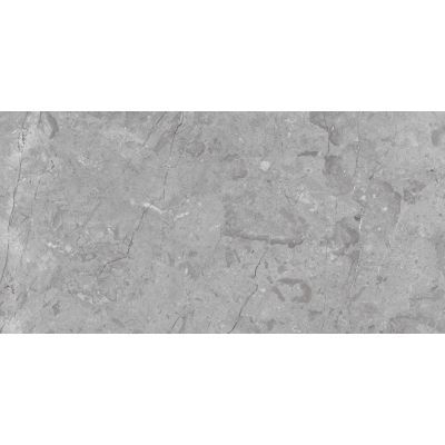 Ego Ceramics Royal Marcus płytka ścienno-podłogowa 120x60 cm szara