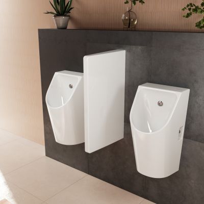 Hansgrohe EluPura Original Q przegroda pisuaru 60173450