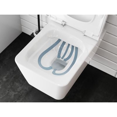 Hansgrohe EluPura Q miska wisząca WC bezkołnierzowa AquaFall Flush SmartClean biały 61116450