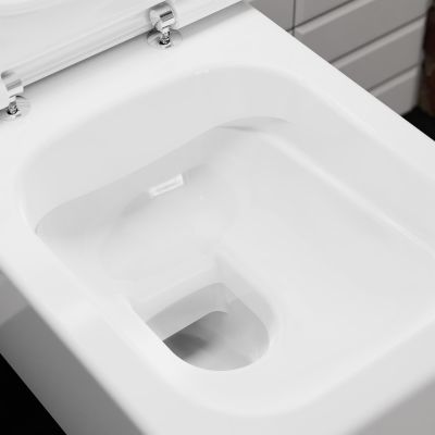 Hansgrohe EluPura Q miska wisząca WC bezkołnierzowa AquaFall Flush SmartClean z deską WC wolnoopadającą biały 61117450