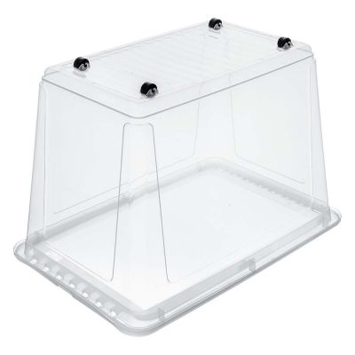 Keeeper Bert pojemnik 59x39x42 cm przezroczysty 1057000100000