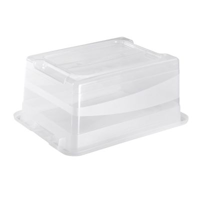 Keeeper Cornelia pojemnik do przechowywania 39,5x29,5x17,5 cm przezroczysty 1094100100000