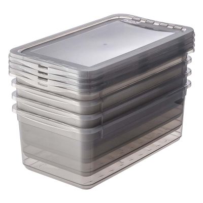 Keeeper Bea Clearbox pojemniki do przechowywania (4 szt) zestaw przezroczysty-szary 3001982700000