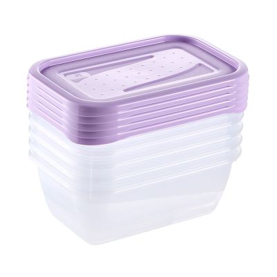 Keeeper Fredo Fresh pojemniki na żywność (5 szt) zestaw przezroczysty-fioletowy 3067252500000