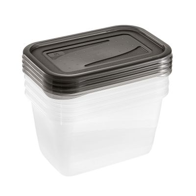 Keeeper Fredo Fresh pojemniki na żywność (4 szt) zestaw przezroczysty-szary 3067382700000