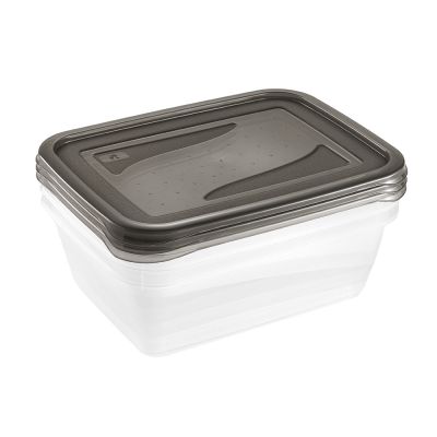 Keeeper Fredo Fresh zestaw pojemniki na żywność (3 szt) przezroczysty-szary 3067582700000