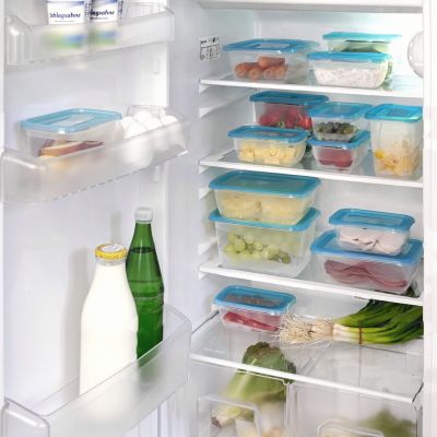 Keeeper Fredo Fresh pojemniki do przechowywania (2 szt) zestaw przezroczysty-niebieski 3068063200000