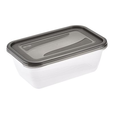 Keeeper Fredo Fresh pojemniki na żywność (2 szt) zestaw przezroczysty-szary 3068082700000