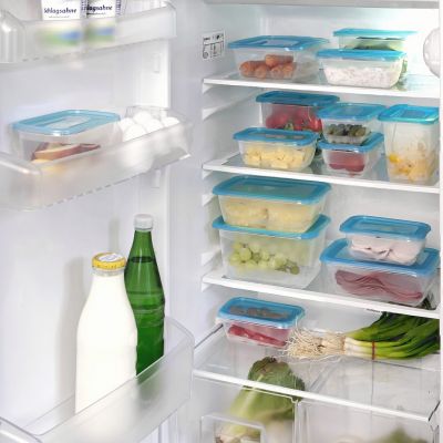 Keeeper Fredo Fresh zestaw pojemników do przechowywania 29x19x7 cm przezroczysty-niebieski 3067963200000