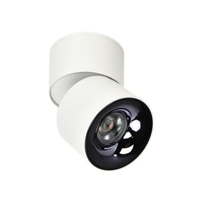 Light Prestige Brema lampa podsufitowa 1x10 W biała LP-2626/1RM WH movable