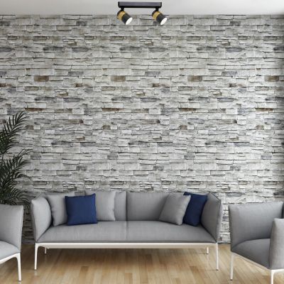 Light Prestige Anillo lampa podsufitowa 2x50 W czarny LP-770/2WBK