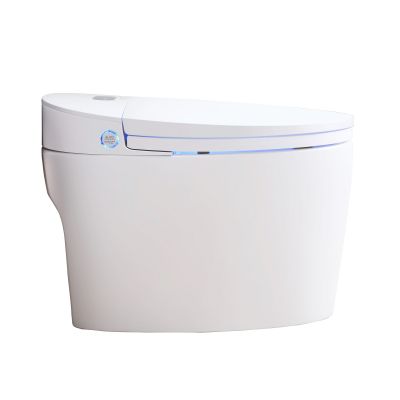 Major&Maker Luxurious toaleta myjąca stojąca biała 1013BQ