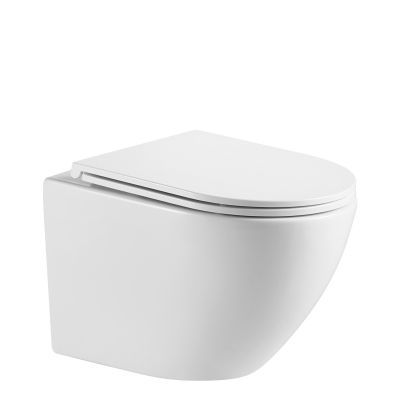Zestaw Omnires Ottawa miska WC z deską wolnoopadającą i stelaż podtynkowy Tece Base z przyciskiem spłukującym Now białym (OTTAWAMWBP, 9400407, 9240400)