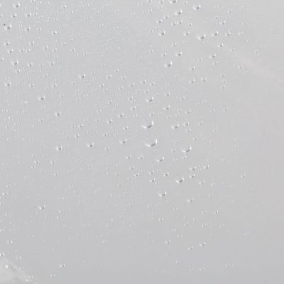 Sealskin Clear zasłona prysznicowa 180x200 cm PEVA transparentny 210041300