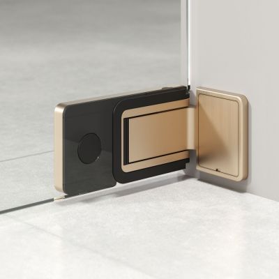 Sealskin Pure drzwi prysznicowe 90 cm uchylne złoty szczotkowany/szkło przezroczyste PU140906495100