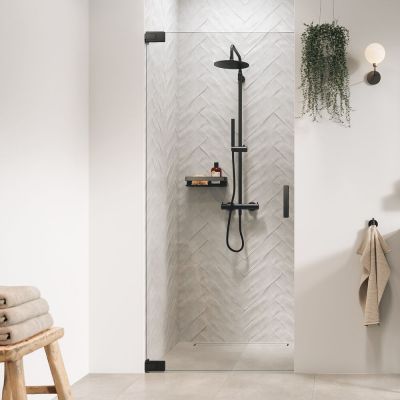 Sealskin Pure drzwi prysznicowe 100 cm uchylne grafitowy szczotkowany/szkło przezroczyste PU141006145100