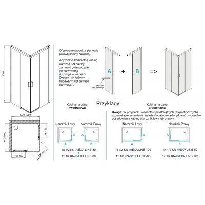 Sanplast Exa Line kabina prysznicowa 1/2KN-B/Exa Line-100 cm srebrny błyszczący/szkło przezroczyste 600-540-0330-38-401