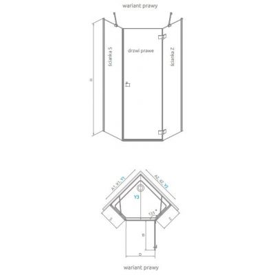 Radaway Essenza 8 Brushed Gold PTJ drzwi prysznicowe 59,7 cm uchylne złoty szczotkowany/szkło przezroczyste 10490000-99-01R