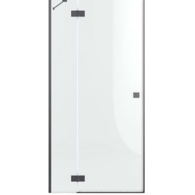 Radaway Essenza DWJ drzwi prysznicowe 120 cm lewe gunmetal szczotkowany/szkło przezroczyste 1385016-92-01L